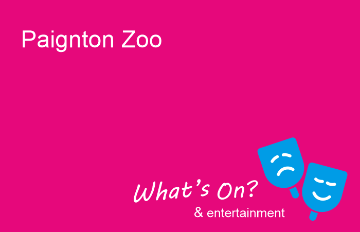 Entertainment in Paignton. Entertainment in Torbay, theatres, cinemas, regatta's, live music venues and popular local attractions.