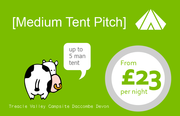 Hi, welcome to our Treacle Valley campsites on-line booking page. Here you can choose to camp with us on one of our up to five man medium tent pitches.